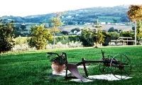 Tenuta Del Perugino -  Privatzimmer
