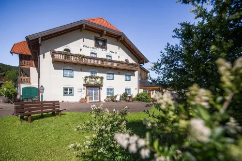 Hotel-Gasthof am Riedl Các khách sạn ở Hof bei Salzburg