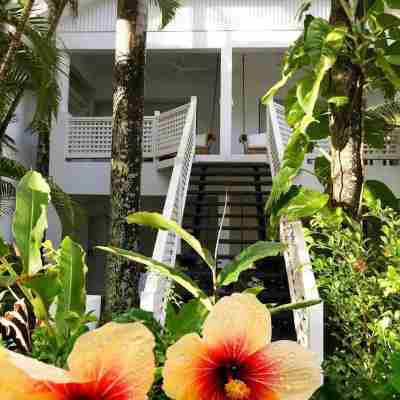 The Reef House Palm Cove Hotel Exterior