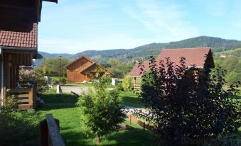 Lovely Chalet in Vosges with Shared Pool