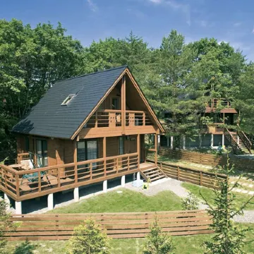 Angel Forrest Shirakawakougen