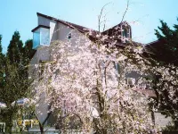 Pension Aso No Tokeidai Hotel a Aso