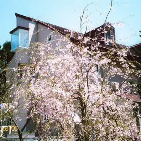 Pension Aso No Tokeidai
