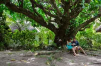 Princesse Bora Lodge & Spa Hotels in 