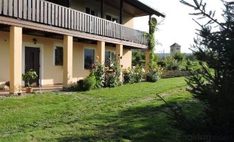 Apartment Boroví