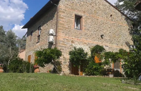 含羞草家庭旅館