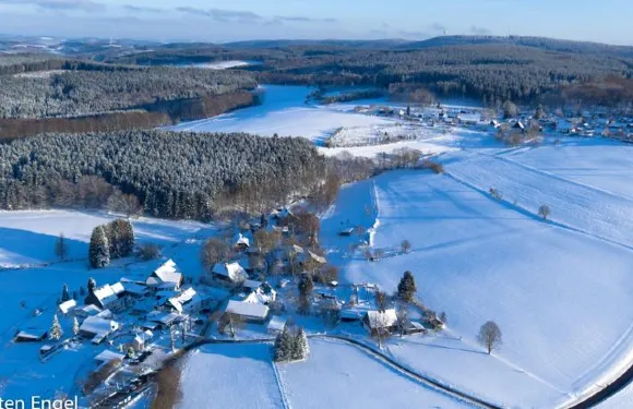 咖啡廳餐廳維德旅館