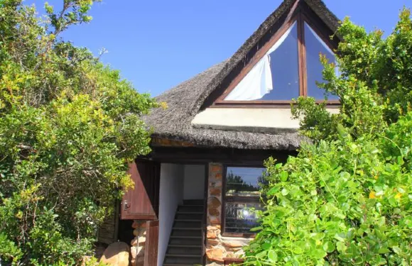 窩棚超級度假屋