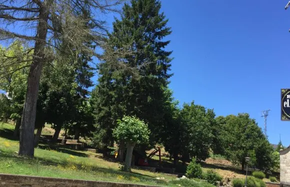 艾爾帕德里諾青年旅舍