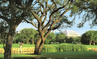 Residence Inn by Marriott San Antonio North/Stone Oak