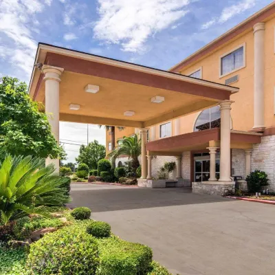 Comfort Suites Kingwood Houston North Hotels near Cypress Trails Ranch LLC