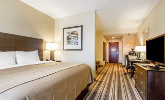 Hampton Inn by Hilton Oak Grove Fort Campbell