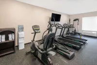 Fairfield Inn & Suites Asheville Airport/Fletcher - Gym