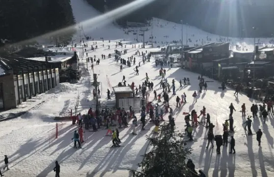 弗洛拉619號公寓