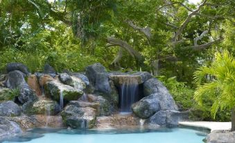 a waterfall cascades into a pool surrounded by rocks and lush greenery , creating a serene and natural environment at Colony Club, a Luxury Collection Resort, Barbados