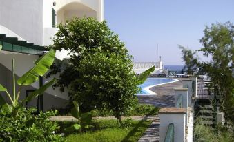 a white building with a swimming pool and a tree , located near a body of water at Erofili Beach Hotel