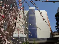 Hotel Matsumotoya 1725