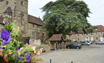 a large tree is in the center of a plaza with cars parked and flowers at The Swan Inn