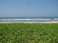 Blue Spring Hotel Hotels in Wadduwa