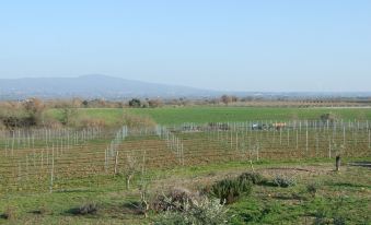 Agriturismo Il Marrugio