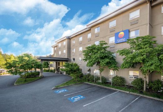 Comfort Inn & Suites 이미지