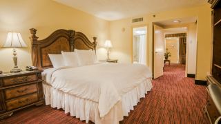 mcm-elegante-hotel-and-suites--dallas
