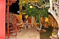 Hotel Boutique Casa Hipil Hotels near Museo San Roque