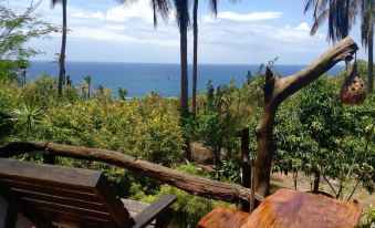 Sairee View Whale Skeleton Koh Tao