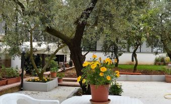 B&b Il Girasole Formia Guesthouse