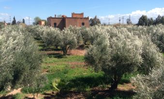 Ferme Sidi Safou & Spa