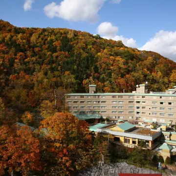 Jozankei Daiichi Hotel Suizantei