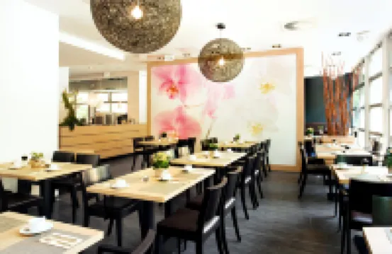 플라자 인 아메디아 빈