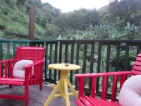 RafJam Bed & Breakfast Hotels in Buff Bay