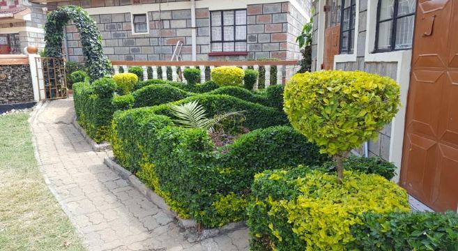 Achill Houses - Housity