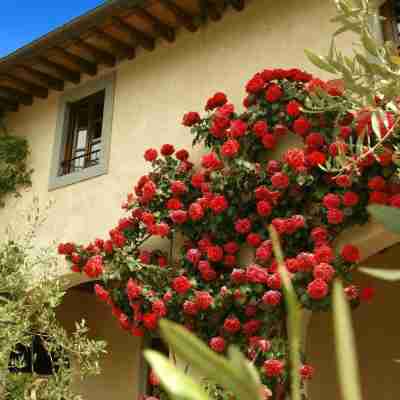 Monsignor Della Casa Country Resort & Spa Hotel Exterior