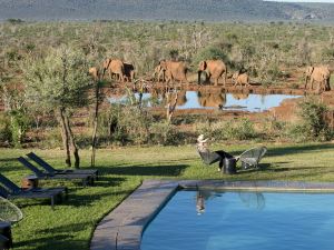 Madikwe Safari Lodge