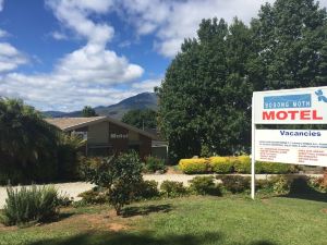 Bogong Moth Motel