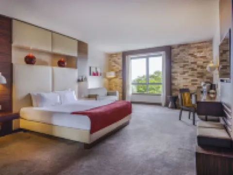 極樂温泉酒店 利莫瑞克酒店