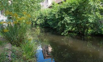 Meublé le Coin Tranquille