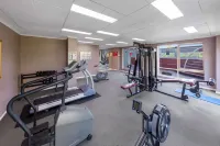 Nesuto Canberra - palestra