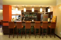 泰科佐維梅林酒店 - 酒吧