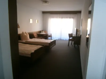 Hotel Krone Отели в г. Мюльхайм-на-Майне