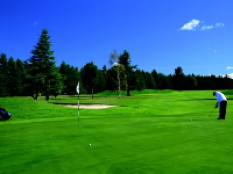 Hotel Ashburton Hotels in Ashburton