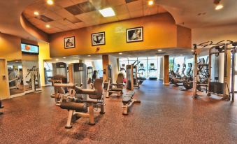 a well - equipped gym with a variety of exercise equipment , including treadmills , weight machines , and free weights at Mobile Marriott