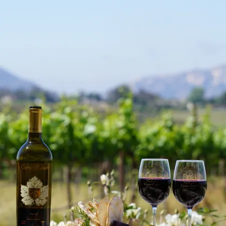 Carter Estate Winery and Resort