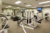 SpringHill Suites Chicago O'Hare