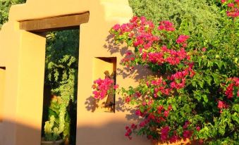 White Stallion Ranch