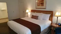 The Pines Country Inn Hotel di Owosso