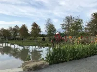 Green Resort