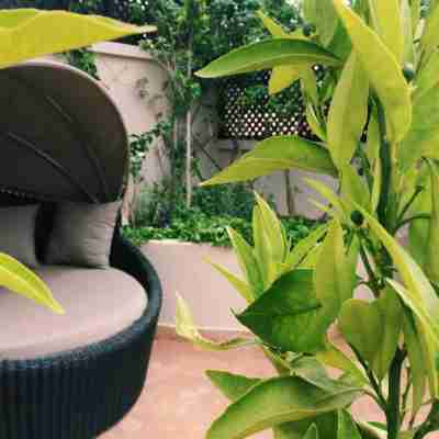 Riad O Hotel Exterior